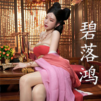 碧落鴻